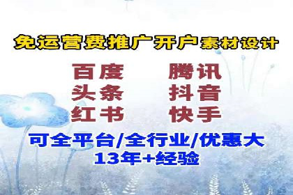 XX行业竞价广告的投放策略与效果分析